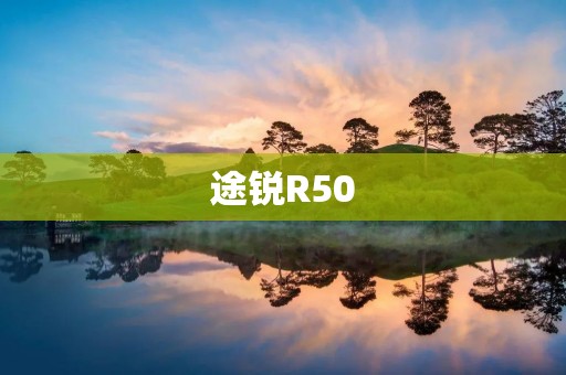 途锐R50:豪华SUV的巅峰之作 途锐R50:豪华SUV的巅峰之作