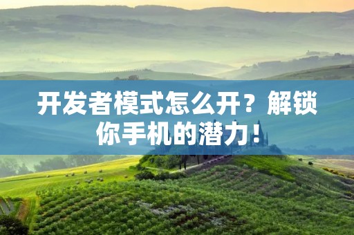 开发者模式怎么开？解锁你手机的潜力！