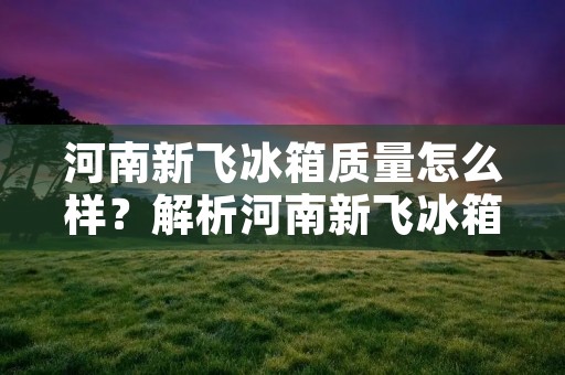 河南新飞冰箱质量怎么样?解析河南新飞冰箱的产品特点和用户评价 河南新飞冰箱质量怎么样?解析河南新飞冰箱的产品特点和用户评价