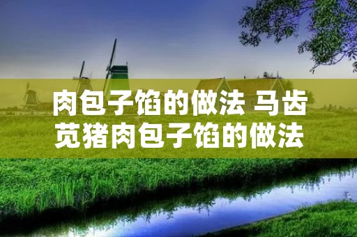 肉包子馅的做法 马齿苋猪肉包子馅的做法