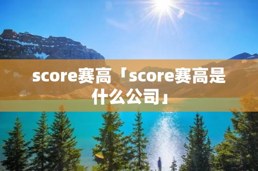 score赛高「score赛高是什么公司」