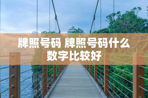 牌照号码 牌照号码什么数字比较好