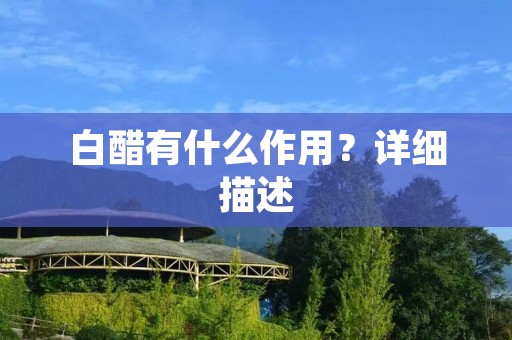 白醋有什么作用?详细描述
