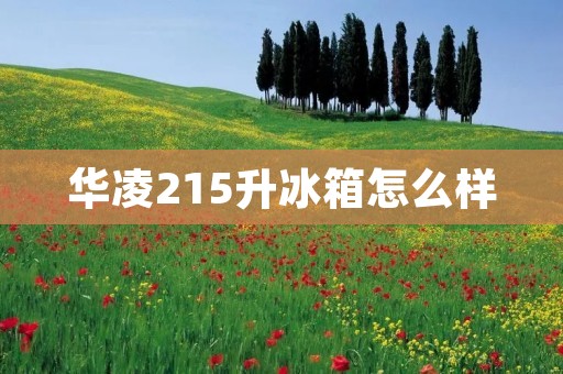 华凌215升冰箱怎么样 华凌215升冰箱怎么样