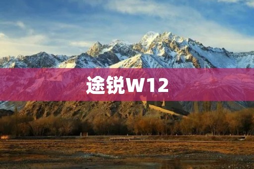 途锐W12：颠覆传统豪华SUV的巅峰之作