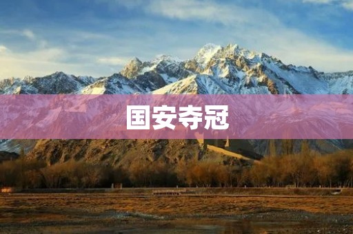 国安夺冠:细数辉煌历程与铸就辉煌的关键因素 国安夺冠:细数辉煌历程与铸就辉煌的关键因素