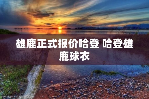 雄鹿正式报价哈登 哈登雄鹿球衣