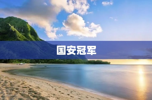 国安冠军：巅峰时刻的华夏足球辉煌