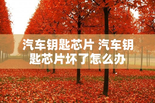 汽车钥匙芯片 汽车钥匙芯片坏了怎么办