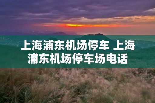 上海浦东机场停车 上海浦东机场停车场电话