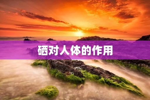 硒对人体的作用