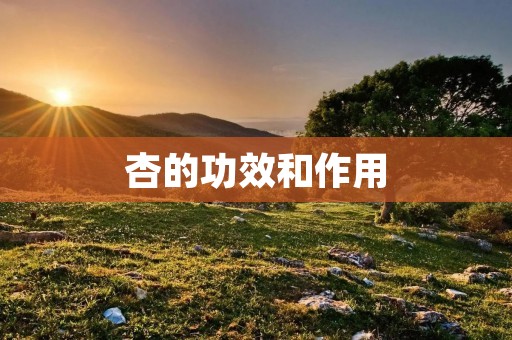 杏的功效和作用