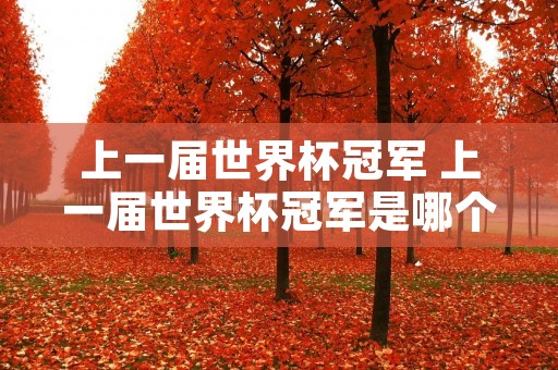 上一届世界杯冠军 上一届世界杯冠军是哪个国家举办 上一届世界杯冠军 上一届世界杯冠军是哪个国家举办