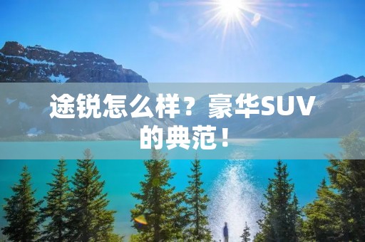 途锐怎么样?豪华SUV的典范! 途锐怎么样?豪华SUV的典范!