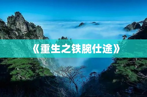 《重生之铁腕仕途》：用智慧航向成功的重生之路