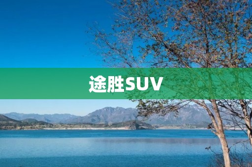 途胜SUV:豪华与动感的完美结合 途胜SUV:豪华与动感的完美结合
