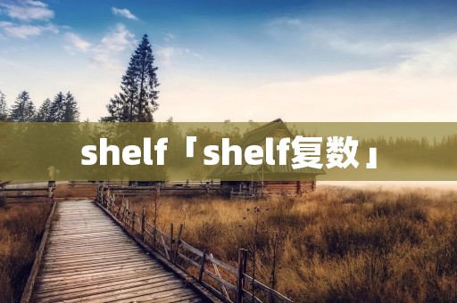 shelf「shelf复数」