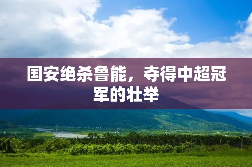 国安绝杀鲁能,夺得中超冠军的壮举 国安绝杀鲁能,夺得中超冠军的壮举