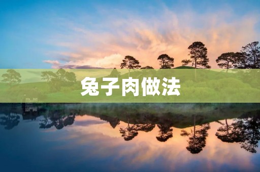 兔子肉做法：美味佳肴尽在你手中