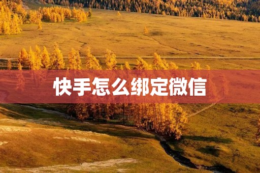 快手怎么绑定微信