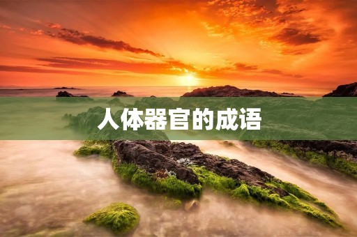 人体器官的成语：探秘“肝肠寸断”这一成语的来历与含义