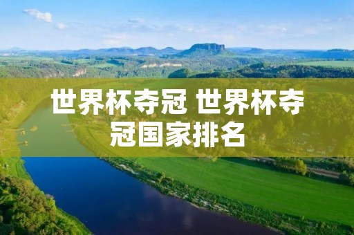 世界杯夺冠 世界杯夺冠国家排名