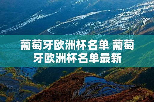 葡萄牙欧洲杯名单 葡萄牙欧洲杯名单最新