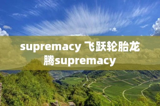 supremacy 飞跃轮胎龙腾supremacy
