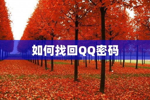 如何找回QQ密码