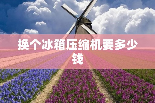 换个冰箱压缩机要多少钱