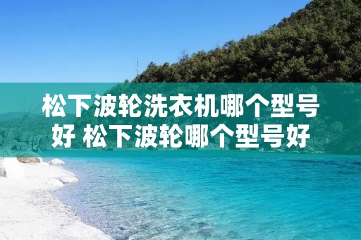 松下波轮洗衣机哪个型号好 松下波轮哪个型号好