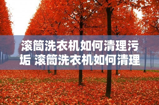 滚筒洗衣机如何清理污垢 滚筒洗衣机如何清理污垢小妙招
