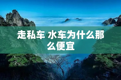 走私车 水车为什么那么便宜