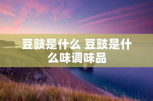 豆豉是什么 豆豉是什么味调味品