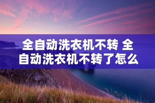 全自动洗衣机不转 全自动洗衣机不转了怎么回事 视频