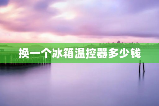 换一个冰箱温控器多少钱