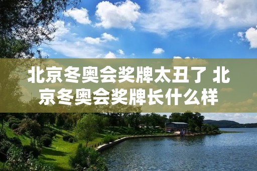 北京冬奥会奖牌太丑了 北京冬奥会奖牌长什么样 北京冬奥会奖牌太丑了 北京冬奥会奖牌长什么样