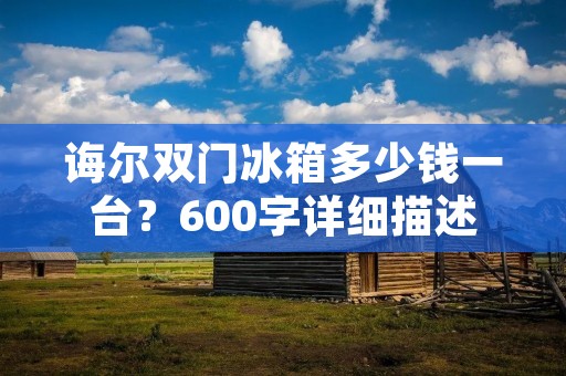 诲尔双门冰箱多少钱一台？600字详细描述