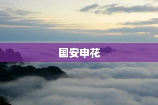 国安申花:中超双雄的对决 国安申花:中超双雄的对决
