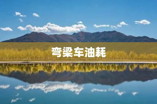 弯梁车油耗:如何降低燃油消耗? 弯梁车油耗:如何降低燃油消耗?