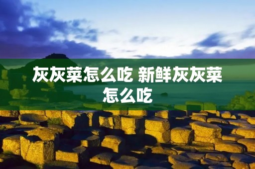 灰灰菜怎么吃 新鲜灰灰菜怎么吃