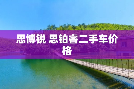 思博锐 思铂睿二手车价格