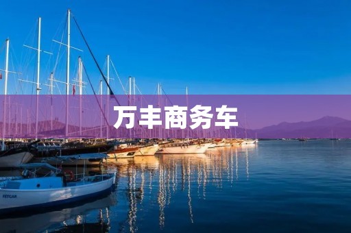 万丰商务车:豪华与实用的完美结合 万丰商务车:豪华与实用的完美结合