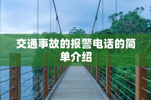 交通事故的报警**的简单介绍 交通事故的报警**的简单介绍