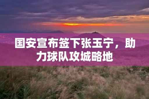国安宣布签下张玉宁,助力球队攻城略地 国安宣布签下张玉宁,助力球队攻城略地