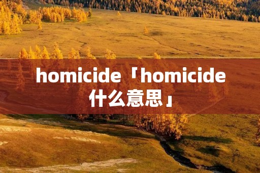 homicide「homicide什么意思」