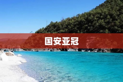 国安亚冠:中国足球崛起的里程碑 国安亚冠:中国足球崛起的里程碑
