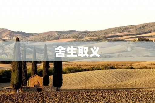 舍生取义：英雄的抉择