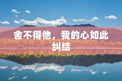 舍不得他，我的心如此纠结