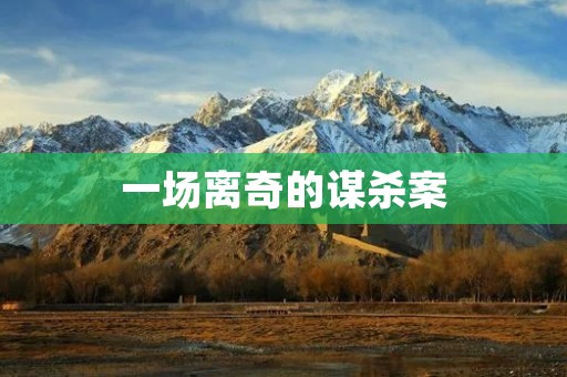 一场离奇的谋杀案：一个普通人的生活被彻底颠覆